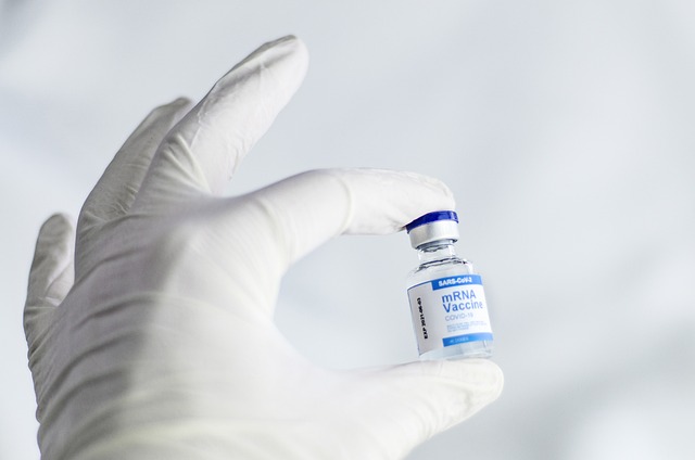 vaccine-6165772_640.jpg