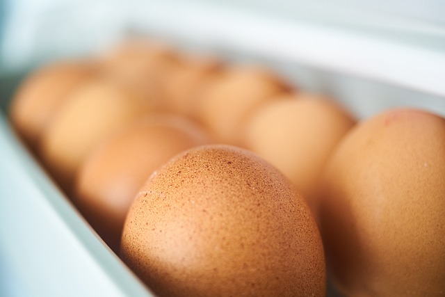 egg-2728995_640.jpg